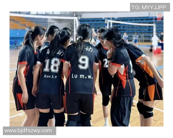 南京排球队的节奏探秘:激情与默契交织的排球之旅
